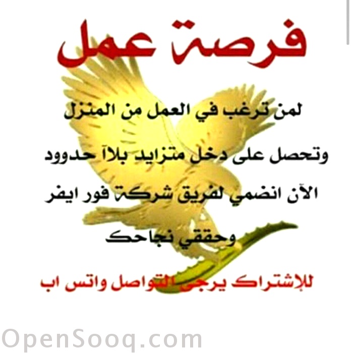 كيفية الحصول على المال على الإنترنت